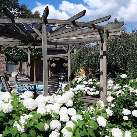 Irish Bowtop Op Het Platteland Van Huize Ouwervelden Wouwsche Plantage Luaran gambar