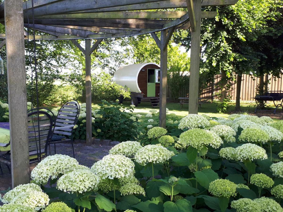 Irish Bowtop Op Het Platteland Van Huize Ouwervelden Wouwsche Plantage Luaran gambar
