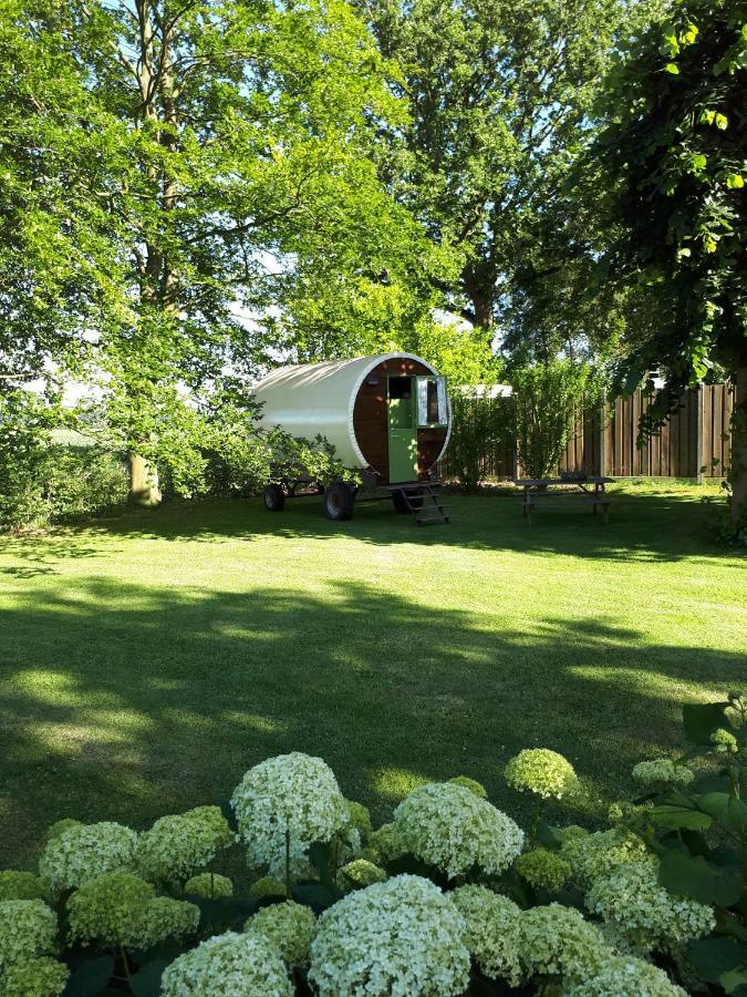 Irish Bowtop Op Het Platteland Van Huize Ouwervelden Wouwsche Plantage Luaran gambar